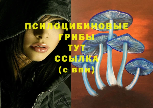 прущая мука Абинск