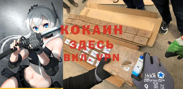 сатива Абаза